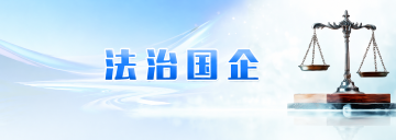 法治国企