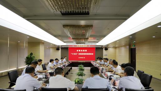 苏粮集团召开“十五五”发展战略规划座谈会